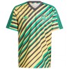 Maillot de Supporter Jamaïque Retro 2024 Pour Homme